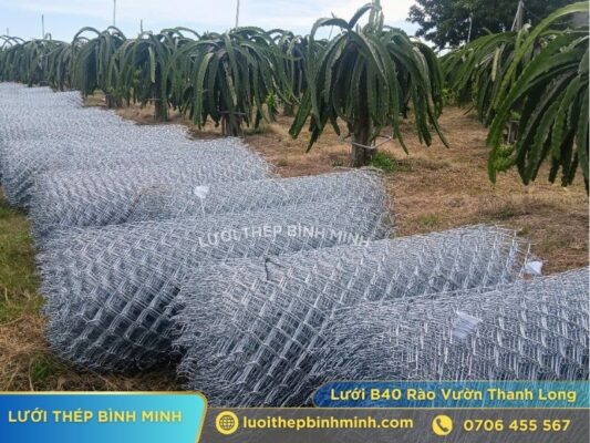 lưới b40 khổ 1m5 mạ kẽm
